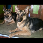 320bac49-899f-4cbc-af2f-844db34bbbd9/facility/26791370-9f59-44b4-8340-e4fed7d22a4d