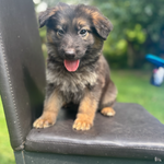 320bac49-899f-4cbc-af2f-844db34bbbd9/facility/54ee6585-c397-41c5-be68-5b7e22b70aa3