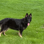 320bac49-899f-4cbc-af2f-844db34bbbd9/facility/56eb10c6-efe5-4f17-baa0-4b496de6fa72