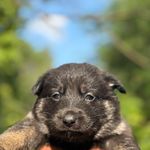 320bac49-899f-4cbc-af2f-844db34bbbd9/facility/699b7295-5434-4e0b-957b-7cb1c3f1c48b