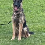 320bac49-899f-4cbc-af2f-844db34bbbd9/facility/82750c95-bfd2-4019-960f-0961ab58fe70