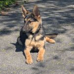 320bac49-899f-4cbc-af2f-844db34bbbd9/facility/8f17b24b-7a3c-43ae-a5ee-3c0408df4216