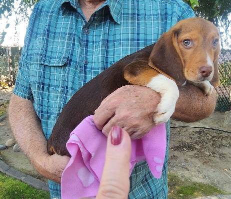 39f9952d-58ad-472b-a0cc-ec8f8fd9251a/listing/1b17f3cf-06a9-4766-8f14-69aa57daeb6e/9984f8e5-0615-4f39-b428-8bd937bb2e04