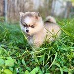 3b8cc1bf-4bee-4f59-8dcb-d3c282605b92/facility/48ec5f21-f16f-49b2-895d-b29ab2795e90