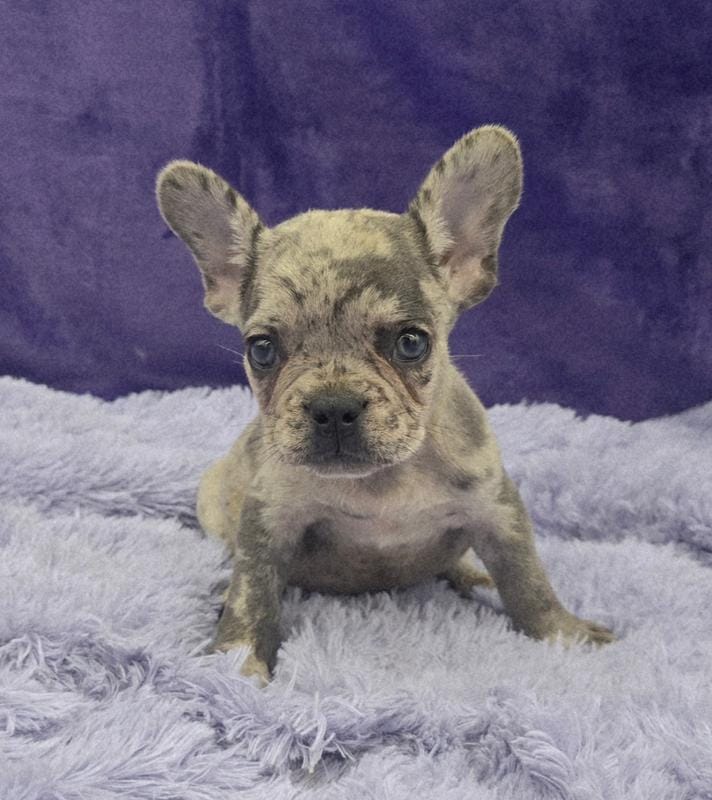 Tracker financing available