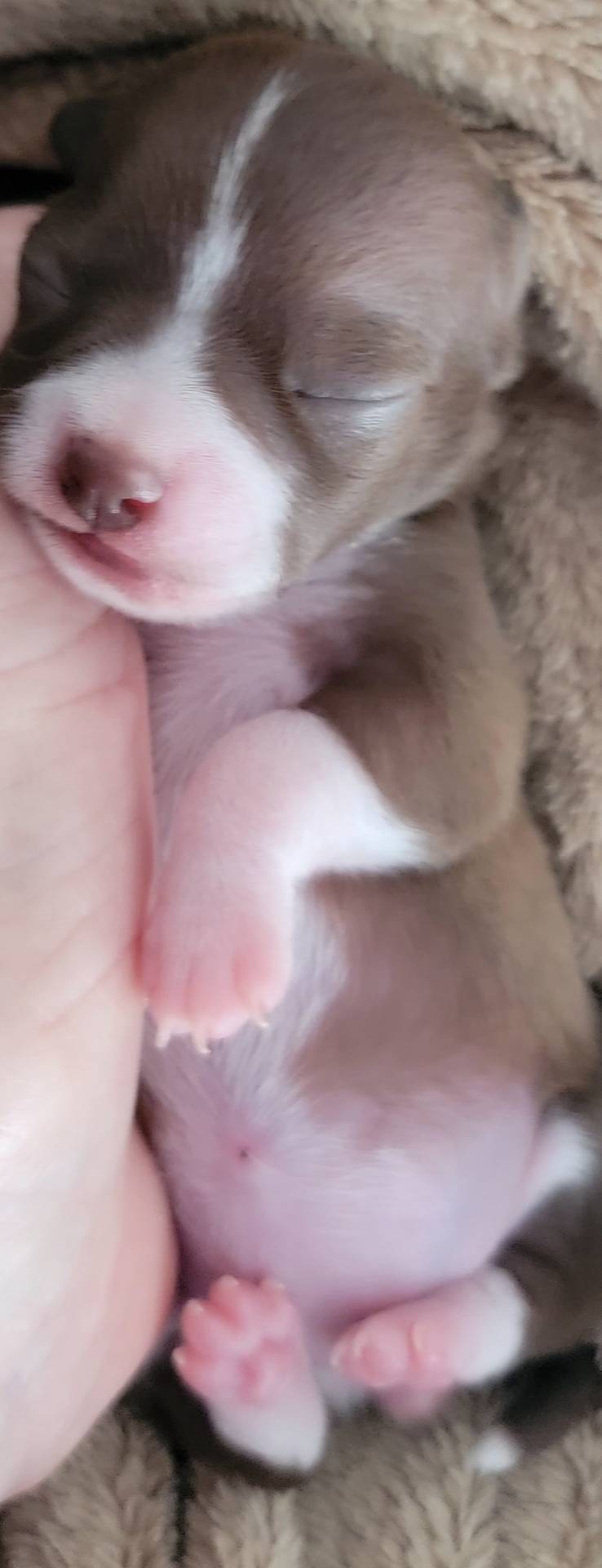 3dc4dbab-f958-47ad-859d-89823d47cf65/facility/9ed55262-e840-4e75-b3c0-8f5ecd2ba203