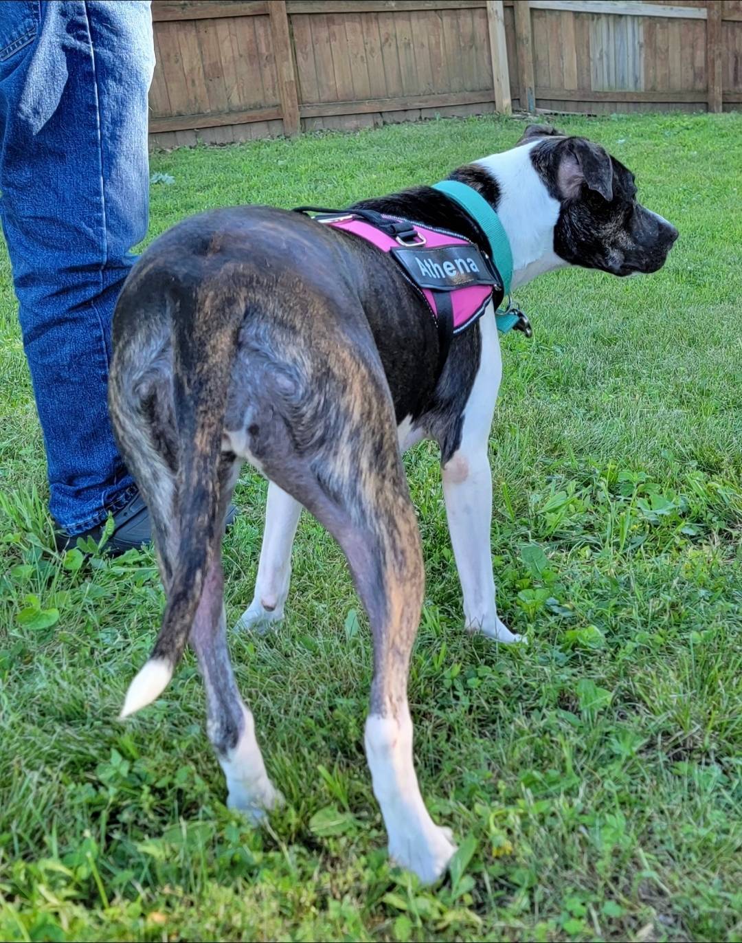 3dc4dbab-f958-47ad-859d-89823d47cf65/listing/81cf3f1d-9dba-4719-a265-21e811f8e131/6530dc43-2da9-47ae-aff2-6c0fec9e60f2