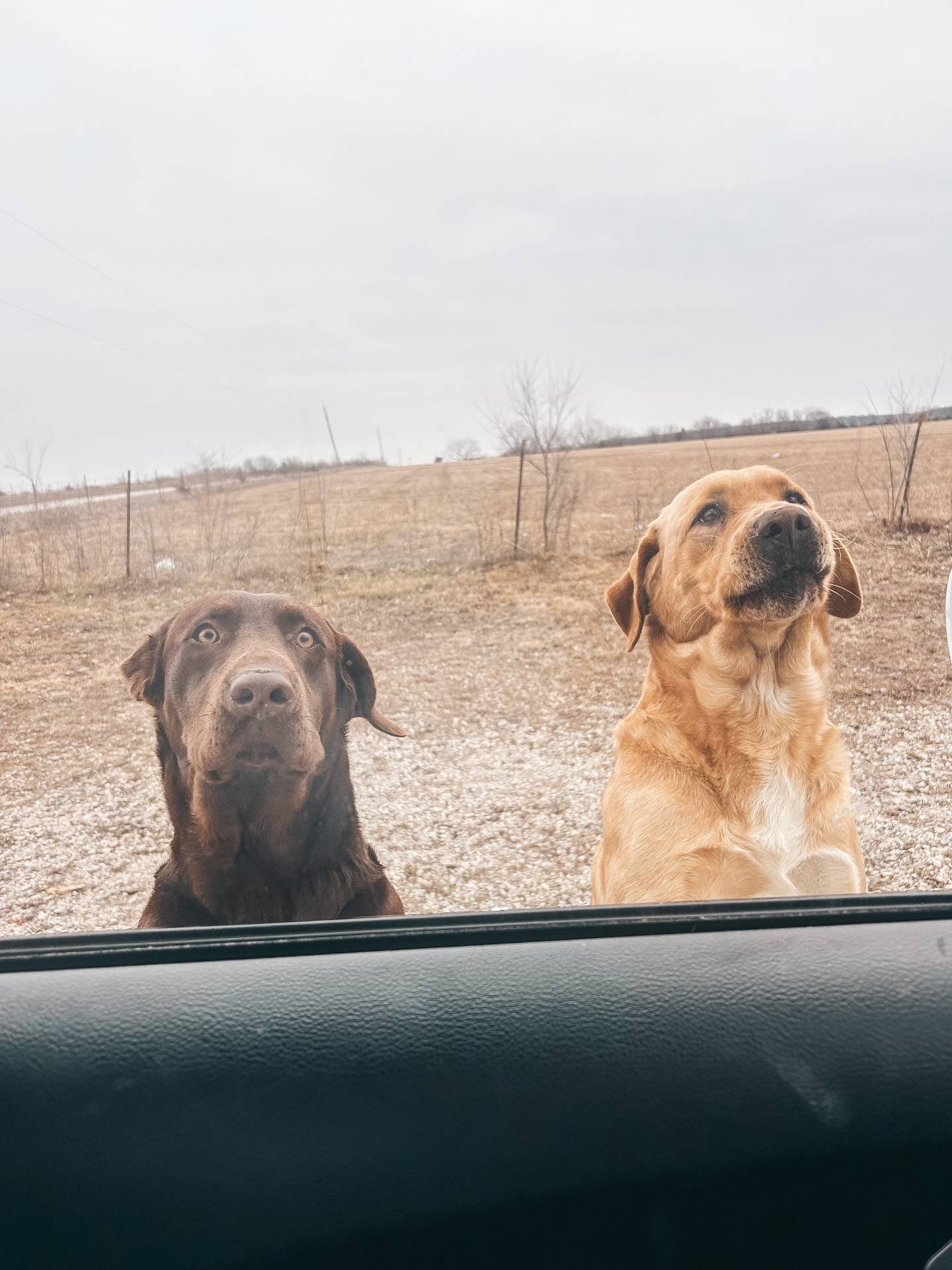 3fc9a9cd-2d93-4742-89a9-0b8a63cc2a30/facility/c454c195-87dd-49cc-96d2-ff19fdd37b4d