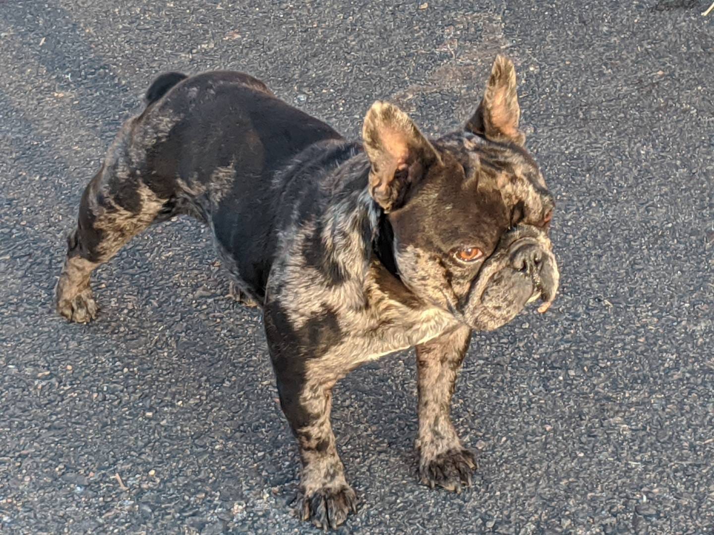 3fe34f13-3a25-42f0-a281-f5915c9012f1/facility/2da13918-29d3-4f20-8c27-b73d01b651d4