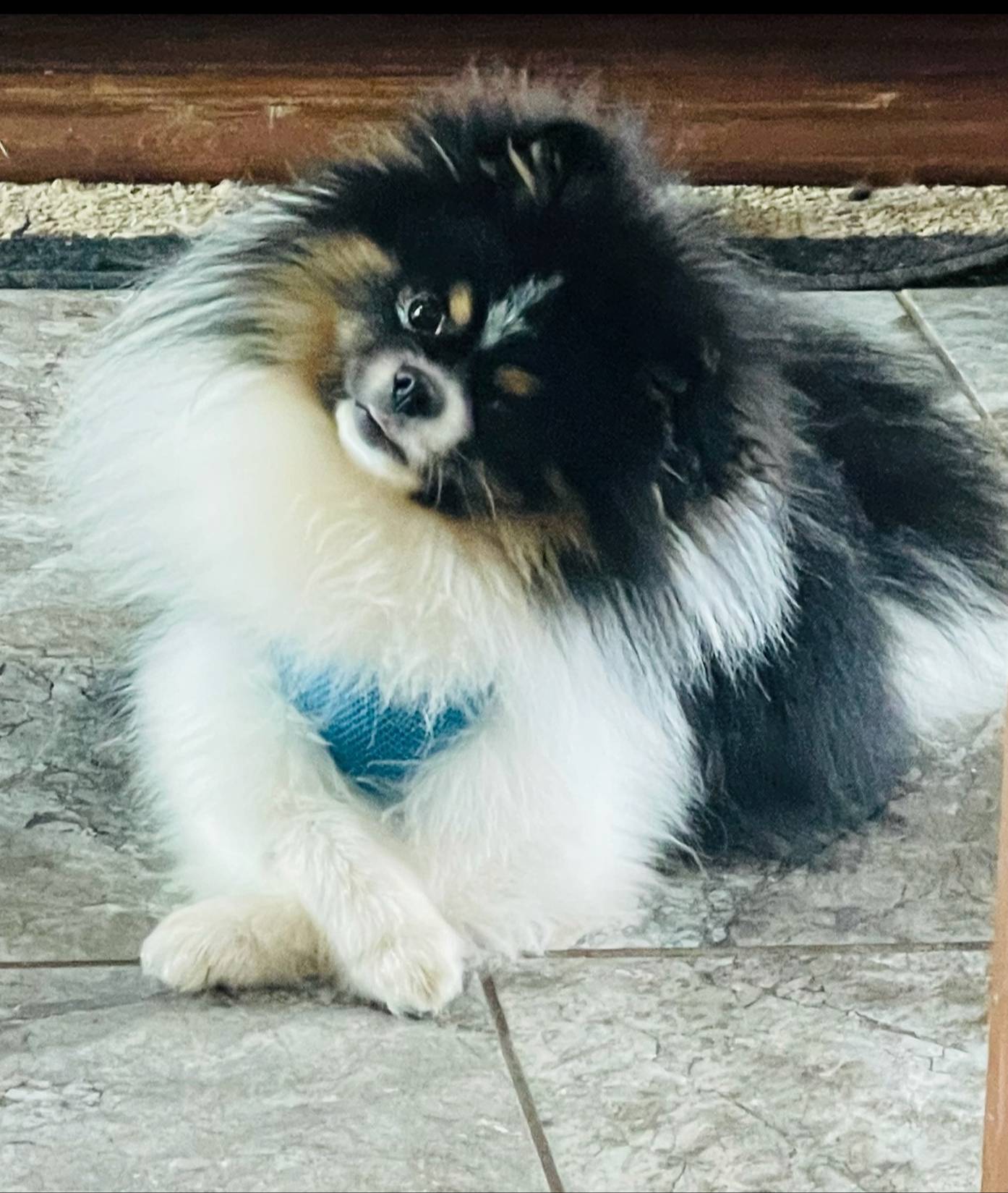 3fe34f13-3a25-42f0-a281-f5915c9012f1/facility/c2edabf7-b508-4458-b7ba-f1d32db6fcbd