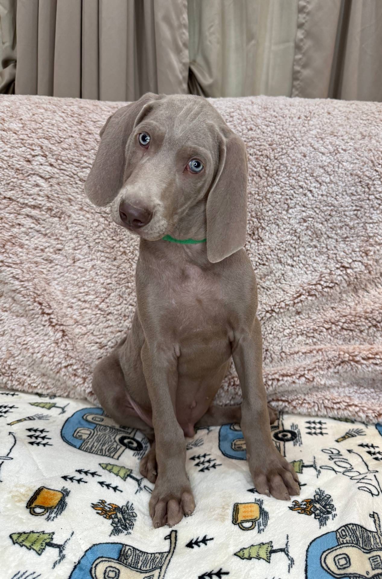 44f5ffc6-204b-47b5-9fd0-f38d0cdc903c/listing/747df82e-fa87-4a1e-95a7-8119adadeaae/04f842bf-d66d-4cec-91de-92362f7258c2