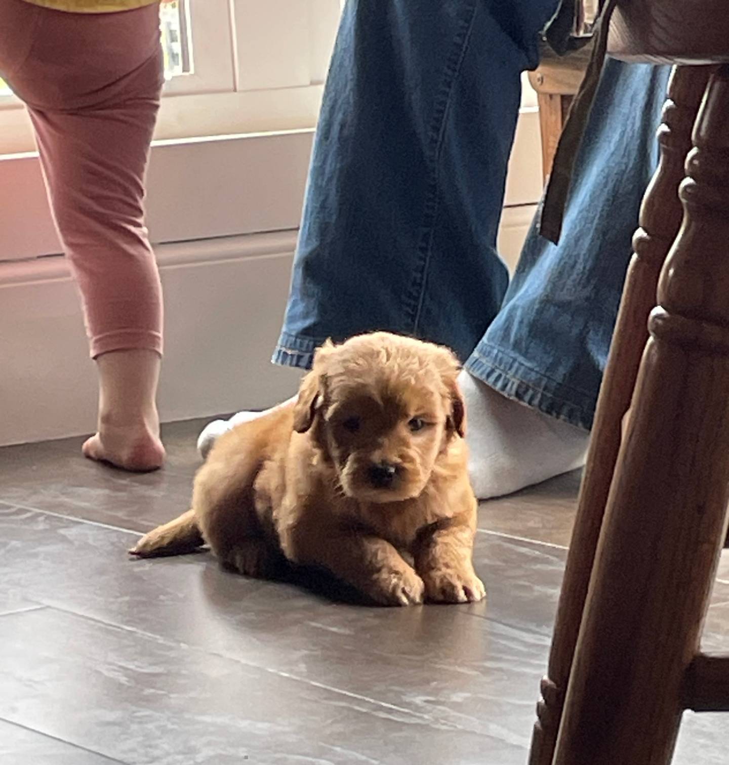 4873c9e9-9334-4650-ac56-0df01970f762/facility/efa9e2f0-fe27-4d44-bc6c-064a83247f7f