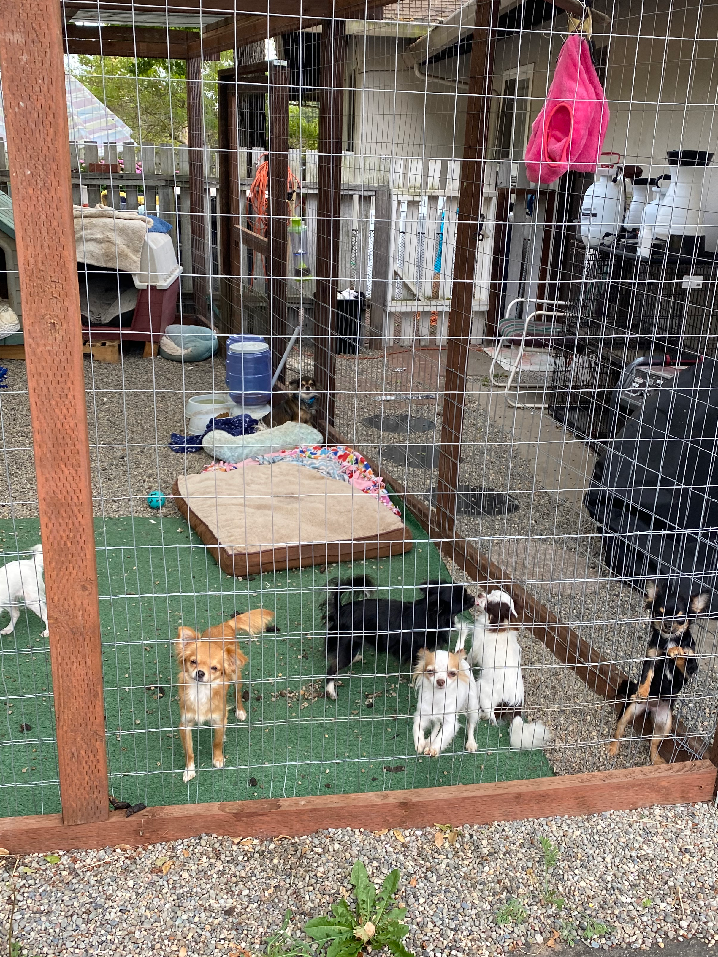 4aec7151-0b87-47b9-9c8a-2b5ad9cd6ed4/facility/06733b30-5d04-47e0-af7f-7cf4909ce1e8