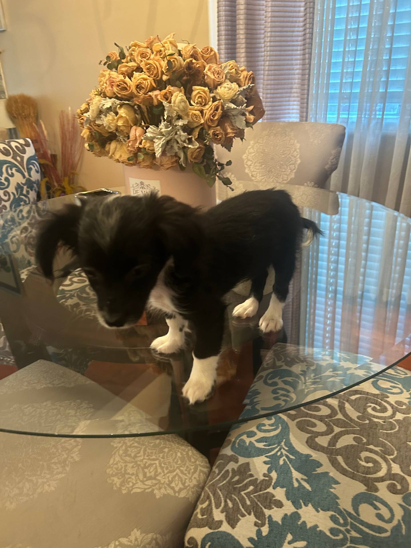 4e05d877-a55f-492e-a9c8-67d2dcdf7e7c/listing/94decd93-e240-480f-95f8-9b04773639a1/9be929f3-2324-4b5b-adcf-7ccd3ae1f8eb