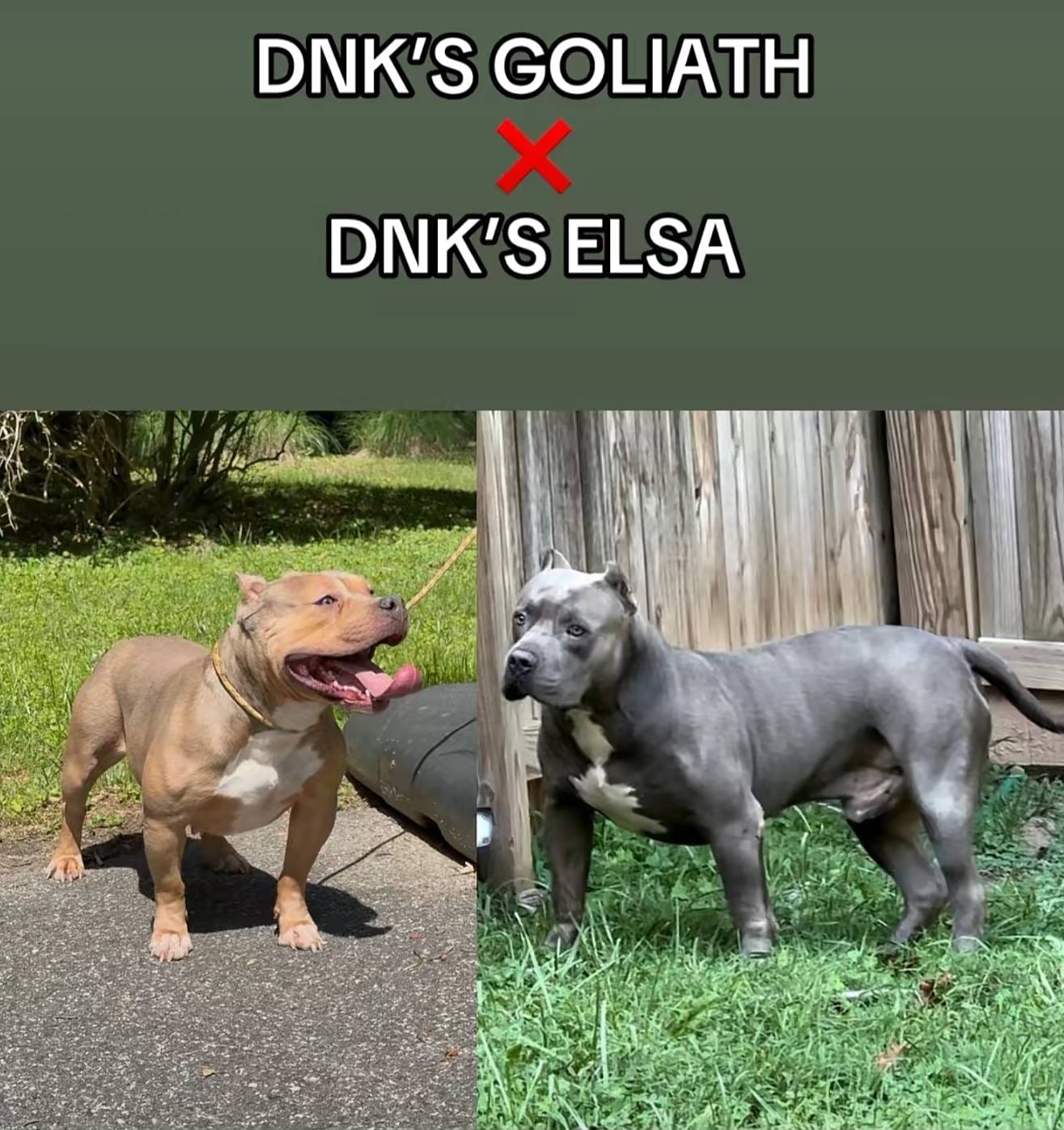 511cd210-0121-4540-97be-125971c47bbb/listing/b104609d-374e-4dc8-afcd-c2f4a7637617/f23f7428-37b4-49f0-876e-2ac75f47d475