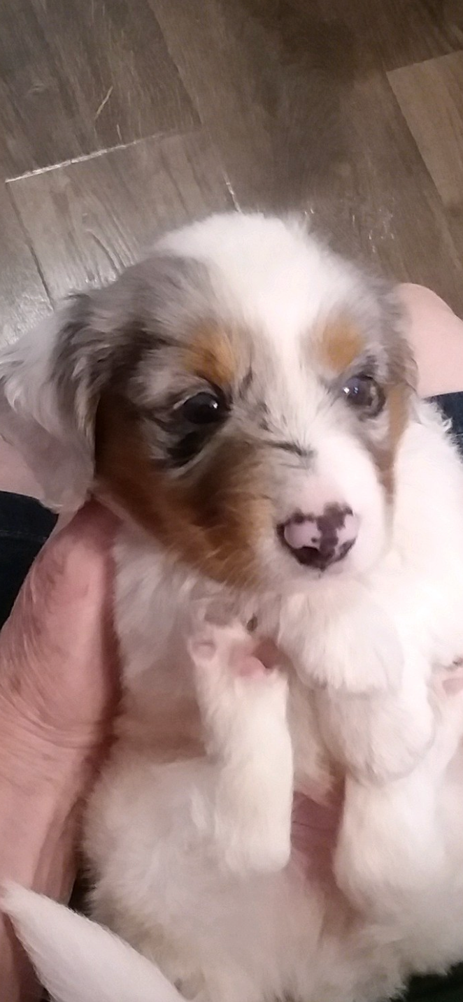 51ee1144-6503-4d84-a15f-d804cf7214f3/facility/1ce2b88c-c369-41a6-8f4c-78185a0533b0