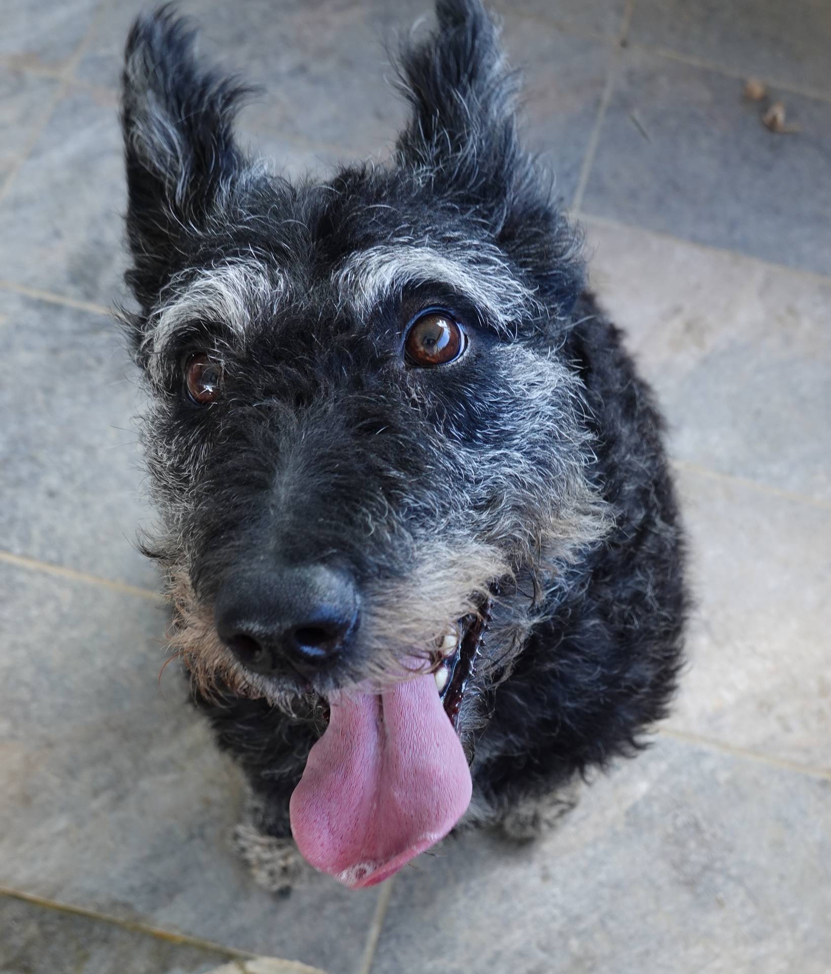 538253a8-3ad3-4c76-9da5-e625e778cb23/listing/54e06c94-d12e-48ac-99f8-f001f6f7adb3/13d40a59-7940-484a-935f-443b8c8d38aa