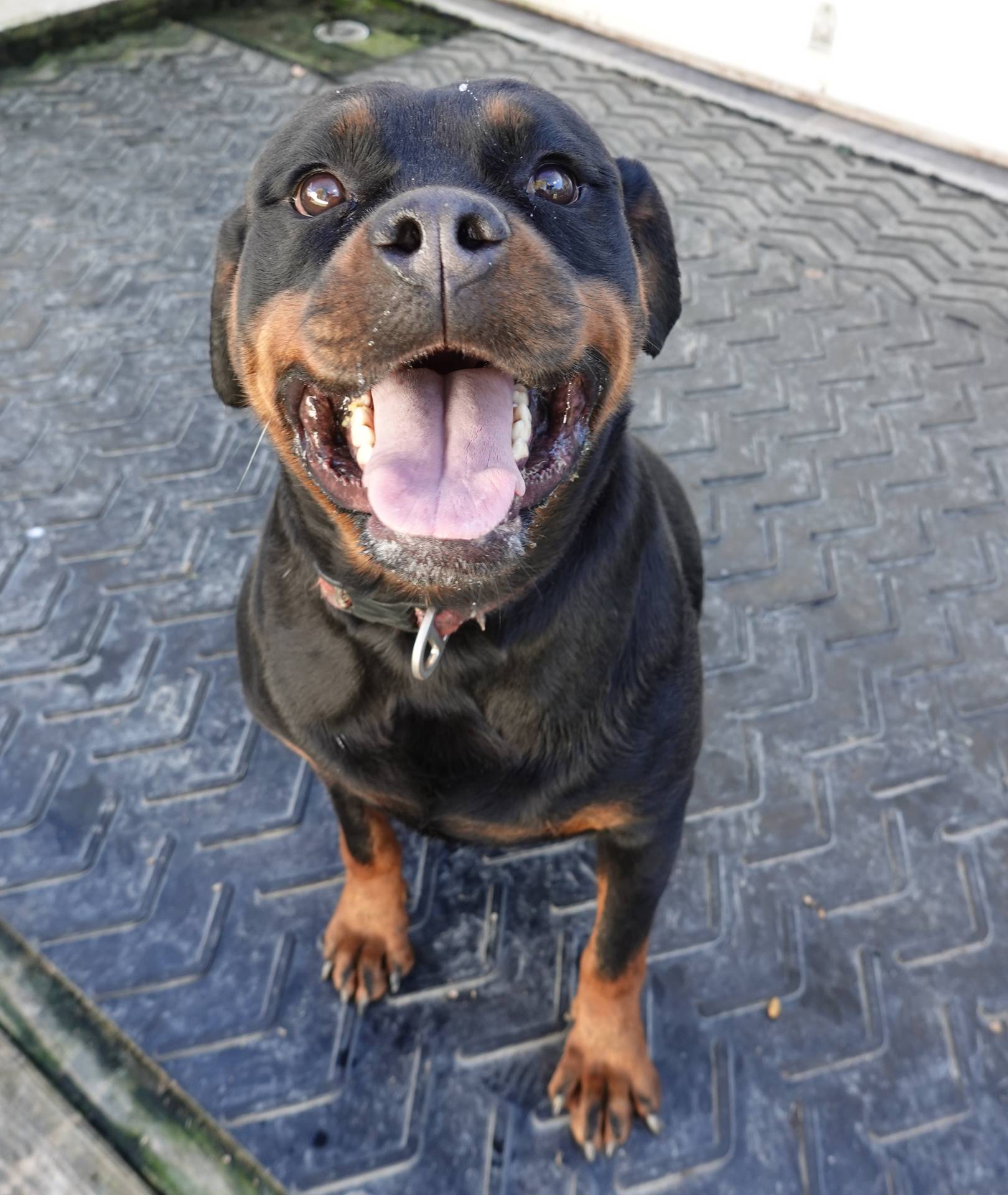 538253a8-3ad3-4c76-9da5-e625e778cb23/listing/9d7d8b35-7ac2-4431-987e-f24a754f0757/1421345a-a692-4f6e-8096-8257565c9f86