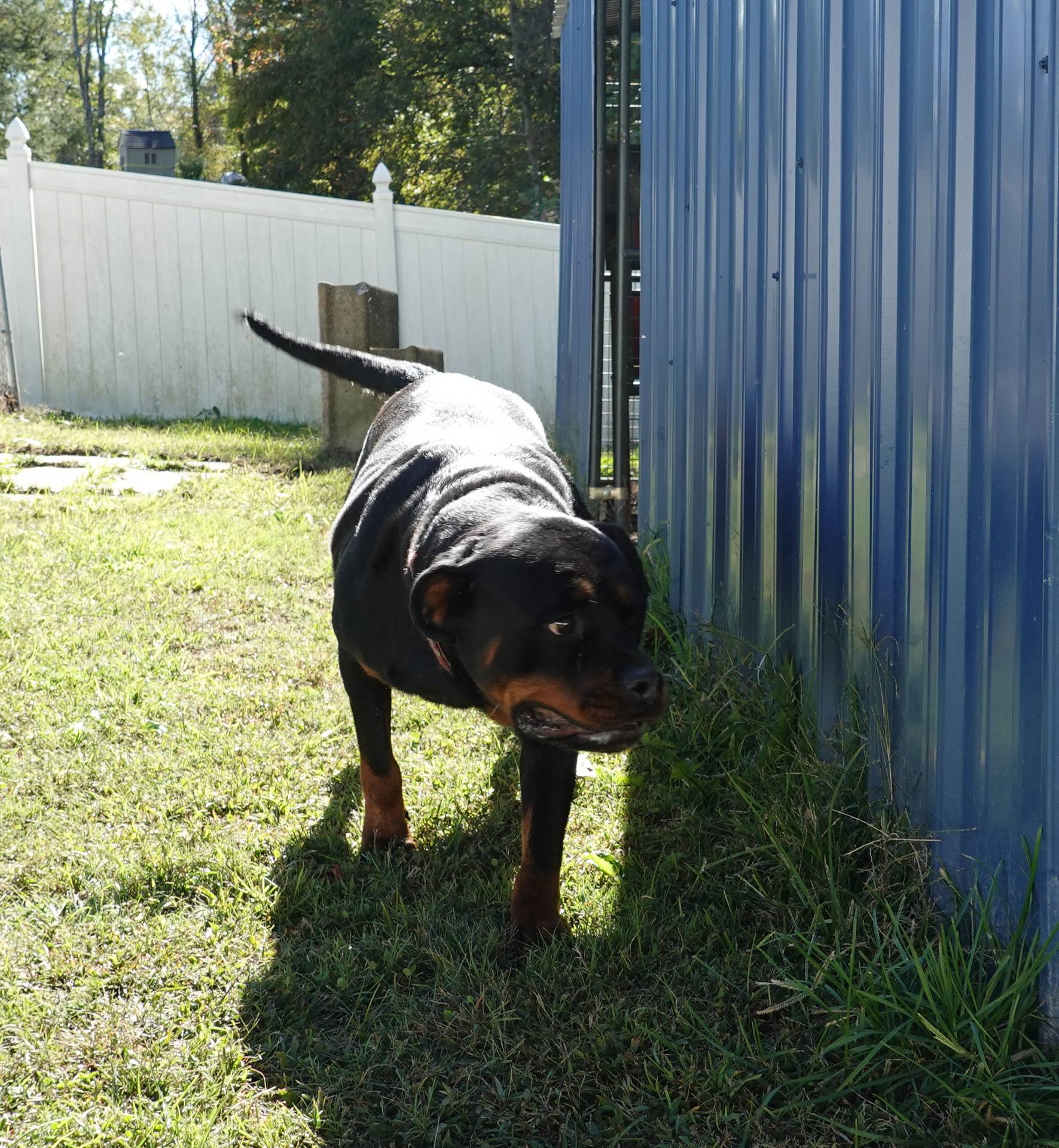 538253a8-3ad3-4c76-9da5-e625e778cb23/listing/9d7d8b35-7ac2-4431-987e-f24a754f0757/a61c0e4b-0cd5-4c72-842e-f095640ee4bf