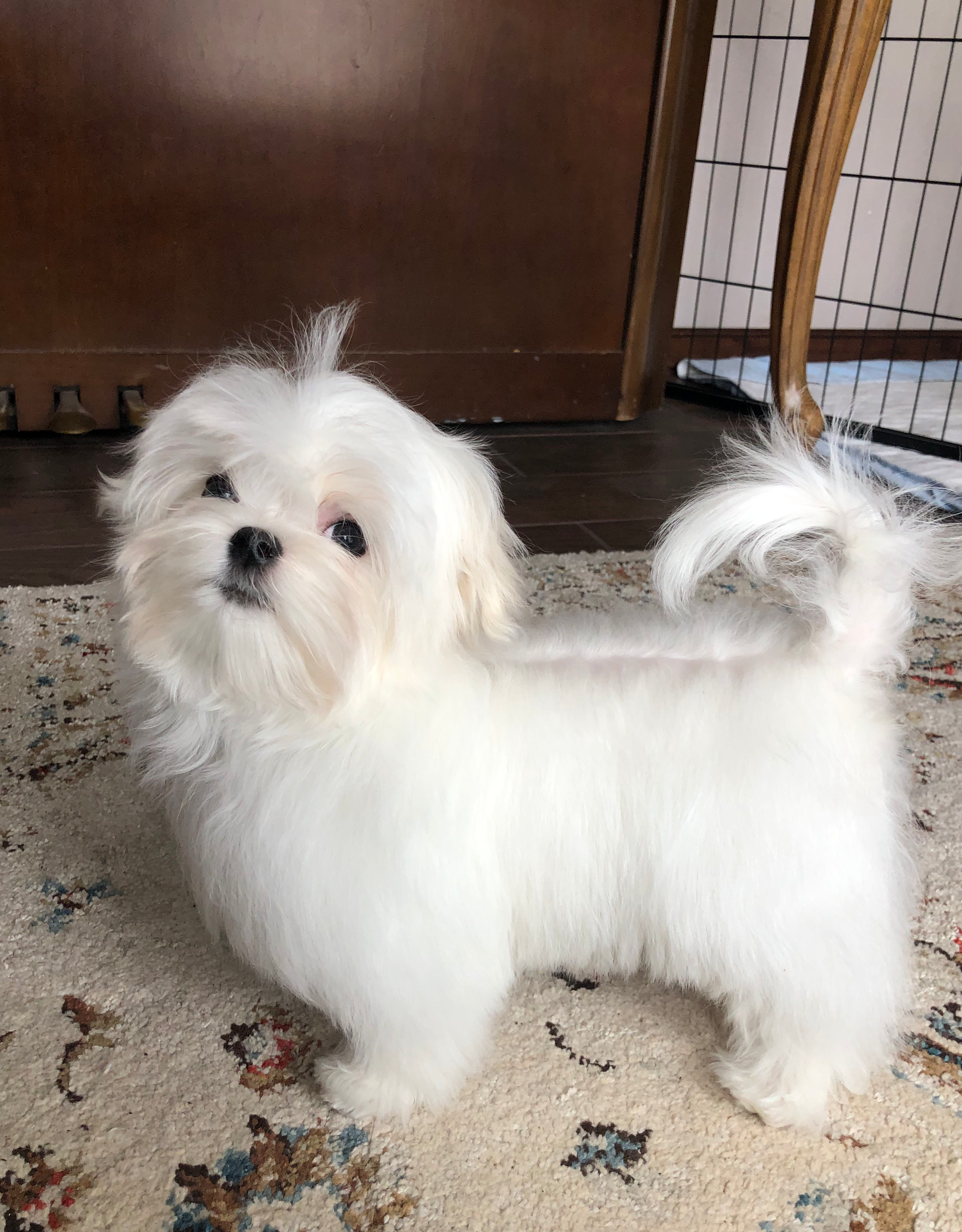 55805078-54e0-48a8-9f1f-82f7cb14f203/facility/6472fadb-1026-491b-b923-dc749fece320