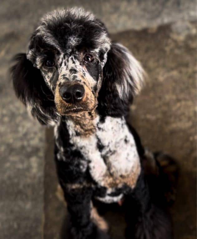 563c319a-d24a-4410-8213-e43b2ebb0859/facility/66b5676a-32cc-44df-92e4-6b04e6c2b87e