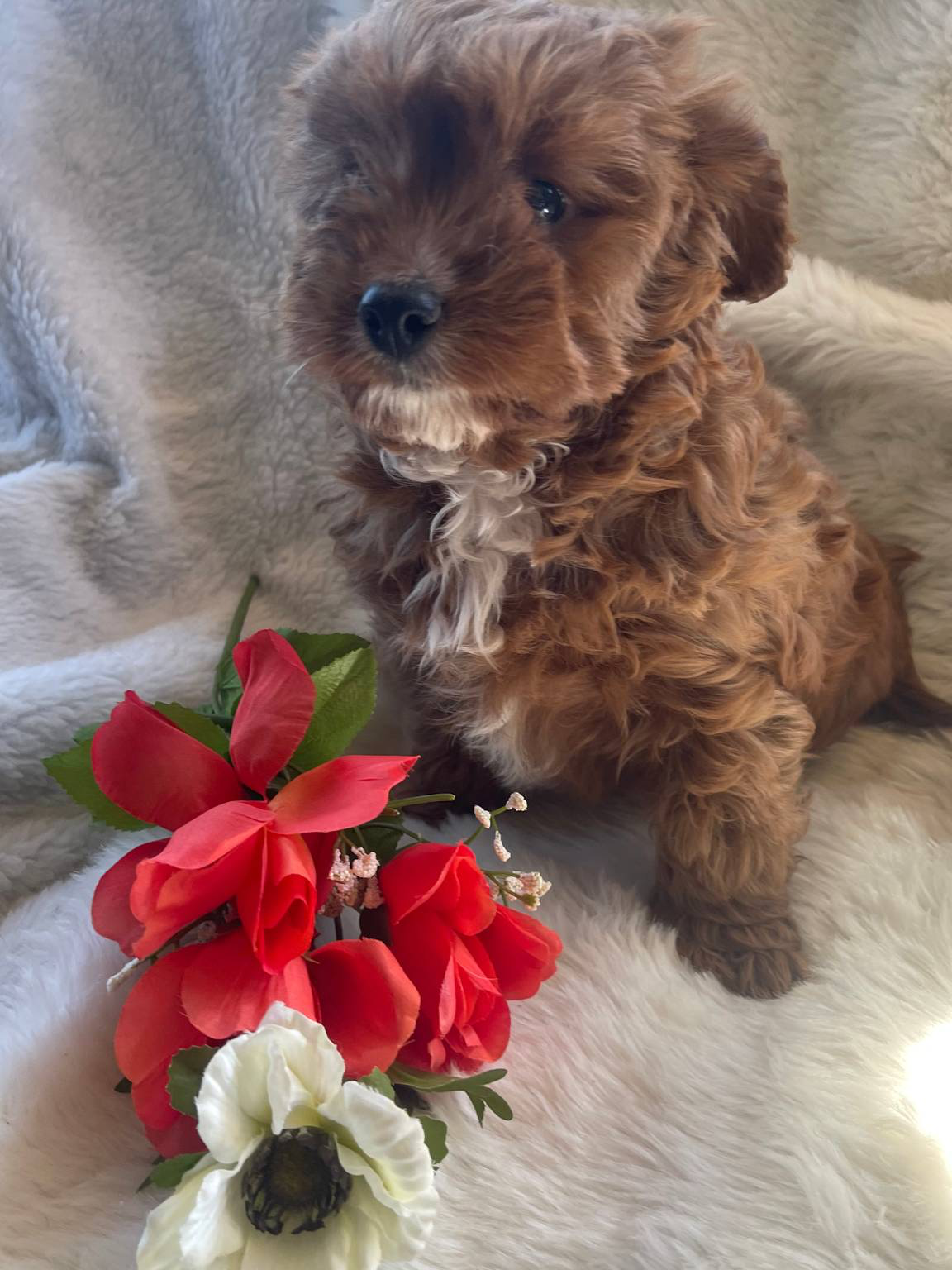 564af6e2-df25-49b3-b880-a54d02c6a66b/facility/041b7342-db7b-45b4-9d5e-213283ef4e52