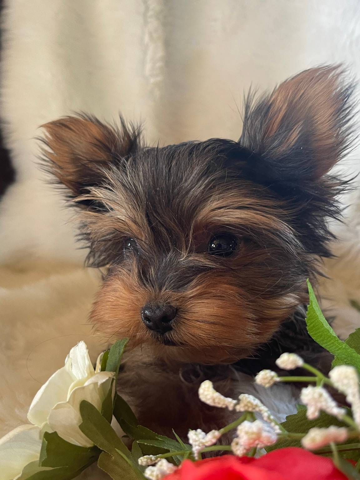 564af6e2-df25-49b3-b880-a54d02c6a66b/facility/1e9c3a47-fdec-441b-aebe-a7f5988248a3