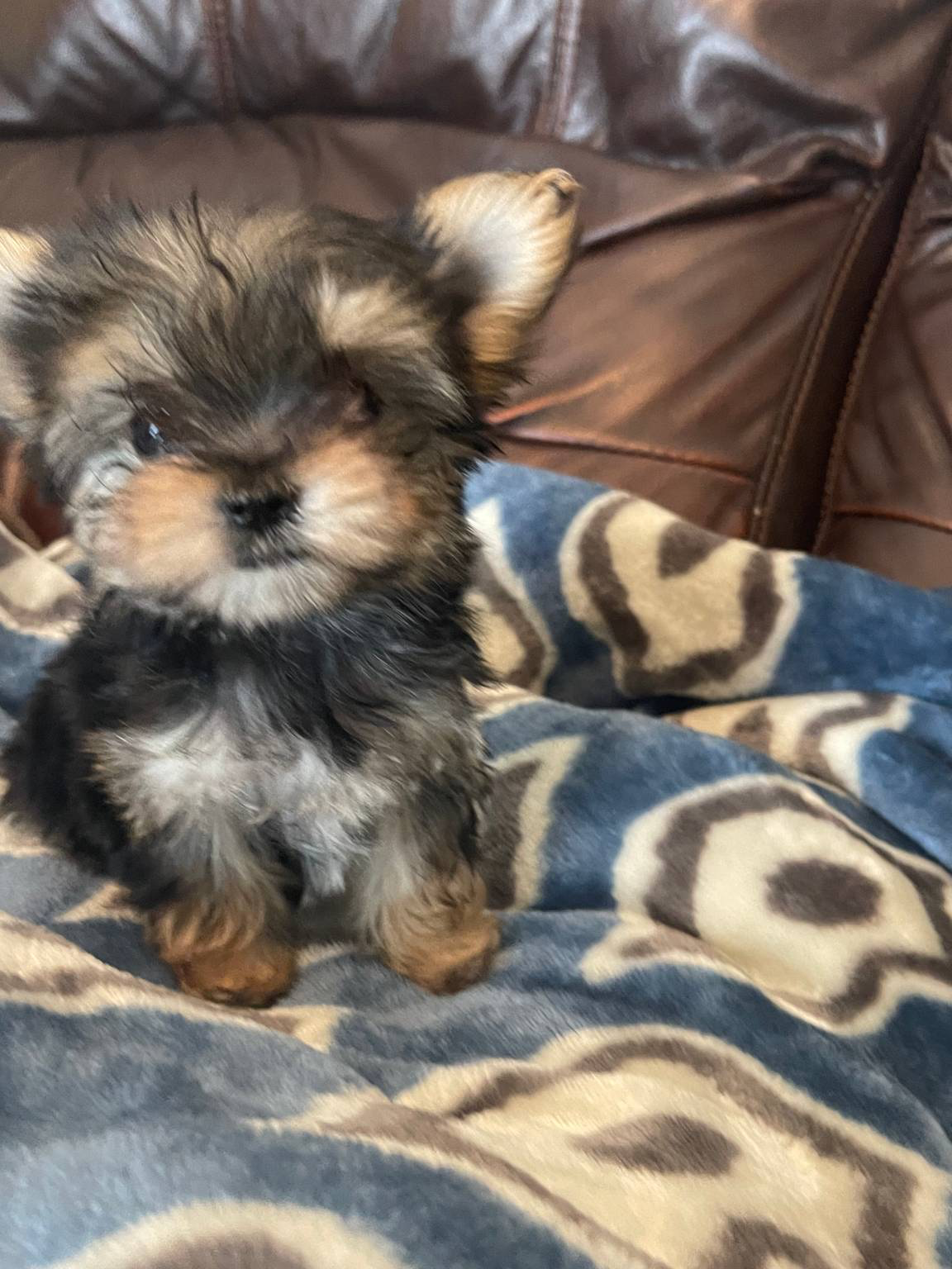 564af6e2-df25-49b3-b880-a54d02c6a66b/facility/232e799c-a379-4186-92d1-878566b3a5c7