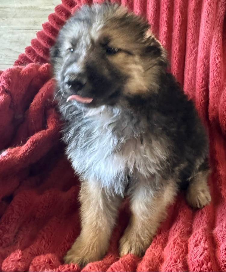 5a51713d-62eb-4db0-aca7-faec690e73d2/listing/a2f7fba3-bdb7-49b7-9f30-63fda1ec7780/20e08e04-1770-483e-bf20-37aa222071c6