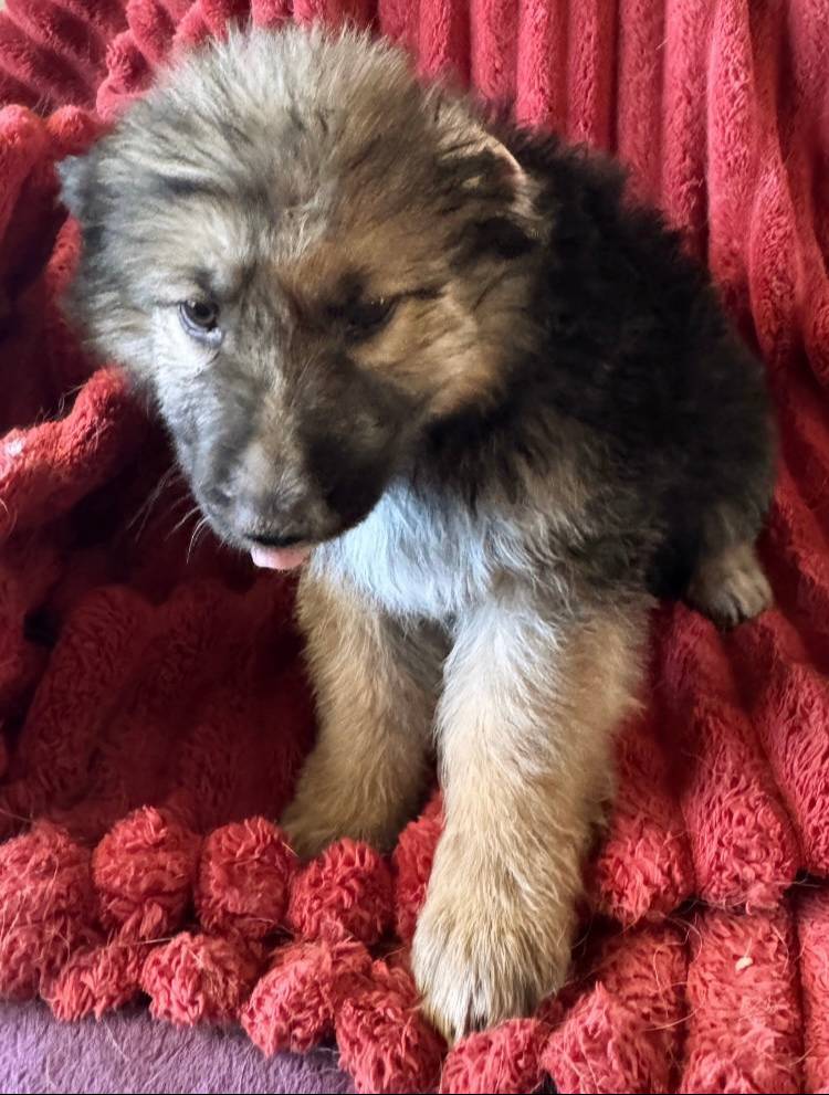 5a51713d-62eb-4db0-aca7-faec690e73d2/listing/a2f7fba3-bdb7-49b7-9f30-63fda1ec7780/c564c622-112b-43b2-8931-663cf2837520