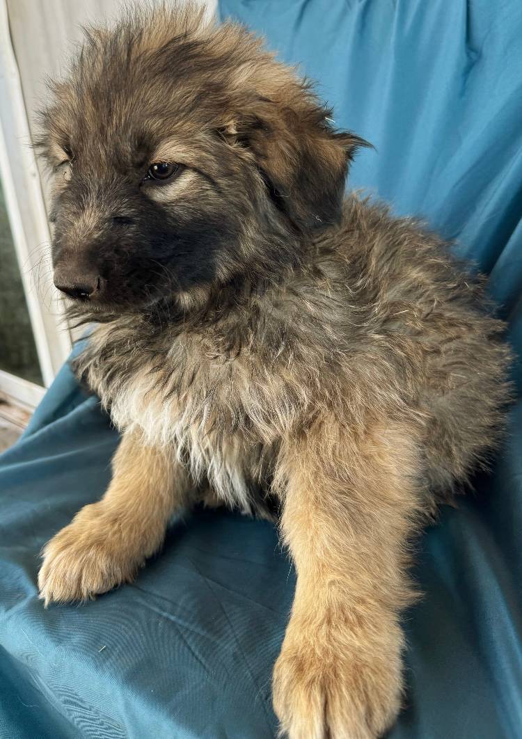 5a51713d-62eb-4db0-aca7-faec690e73d2/listing/bf1c9eab-7a02-4d45-a97c-e609d470c206/7f1ce927-eb05-4edf-bff2-a4261b73a06a