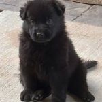 5ce6b433-8c64-44a5-9211-52d2b8144d9a/facility/0ff50b25-eb15-4381-a169-03a5c608ec3b