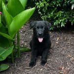 5ce6b433-8c64-44a5-9211-52d2b8144d9a/facility/37adec73-d3ef-41f4-8dfb-b45b438ff348