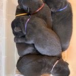 5ce6b433-8c64-44a5-9211-52d2b8144d9a/facility/47ab4a23-5548-4e63-a9b4-ca0a649c3d2f