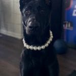 5ce6b433-8c64-44a5-9211-52d2b8144d9a/facility/4bf29ee2-8541-4958-9824-13867fabfd39