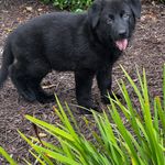 5ce6b433-8c64-44a5-9211-52d2b8144d9a/facility/7a27388e-d1b5-4cfa-9cd8-d9dd2d0265b6