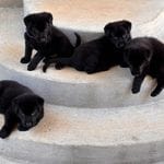 5ce6b433-8c64-44a5-9211-52d2b8144d9a/facility/9b7fc655-cacd-4eda-ad6c-46f31f395de4