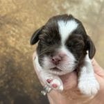 5f0b6874-05d3-4b45-93bb-9778fa899ed8/facility/c30deca2-461b-46dc-85d1-ab7babb5d331