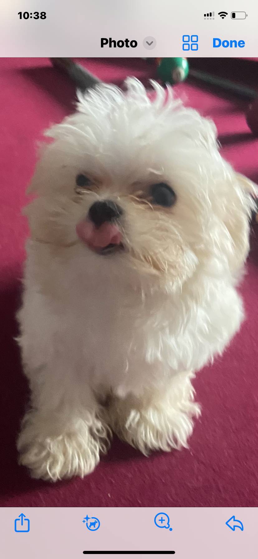 61208bb4-2a8b-4c9f-bb23-038f5e790e94/listing/5a4ad1f1-efee-41e3-b1dd-68801e689b7c/d28b592e-5d9b-4451-8595-914f884a374d