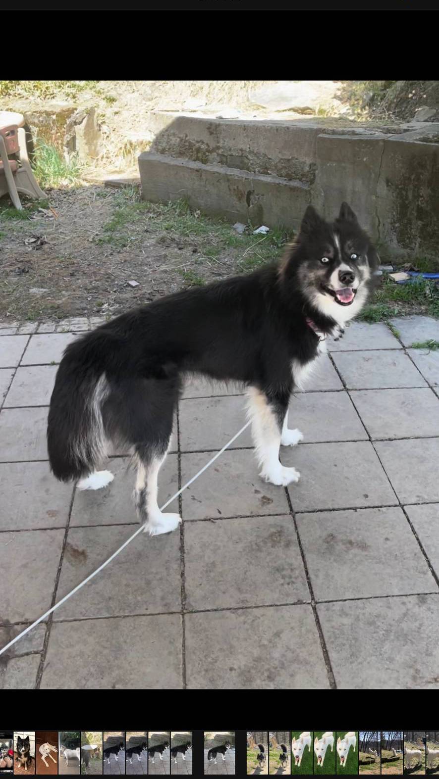 63300401-6b7c-4837-8790-5d09d424cd37/facility/018be01a-4f2c-4487-a8c4-98d770c36d9b