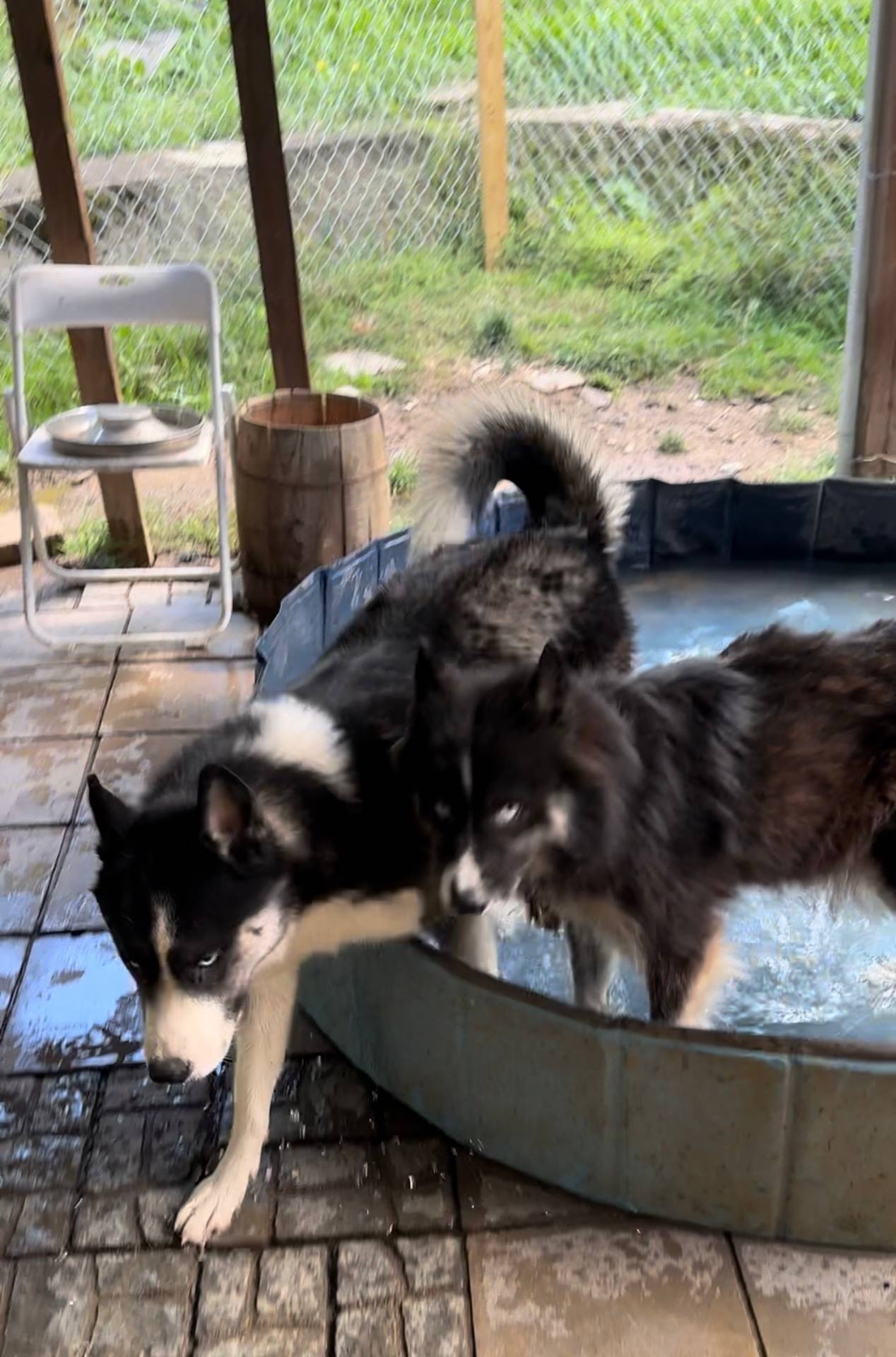 63300401-6b7c-4837-8790-5d09d424cd37/facility/3b5e04ec-5184-4594-9ce8-d0769ce5afc9