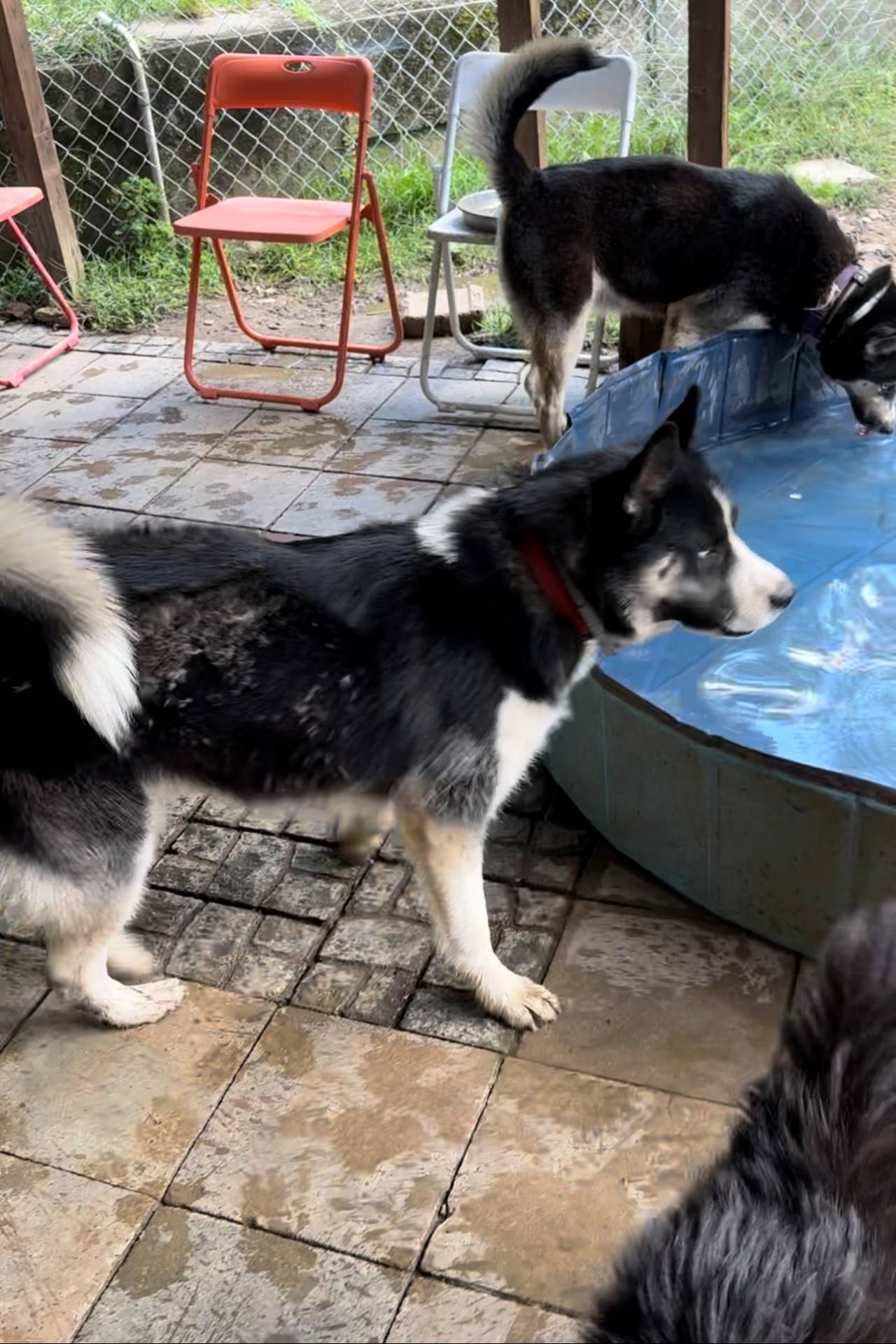 63300401-6b7c-4837-8790-5d09d424cd37/facility/c308680d-1b85-408e-b212-0c7b8c116523