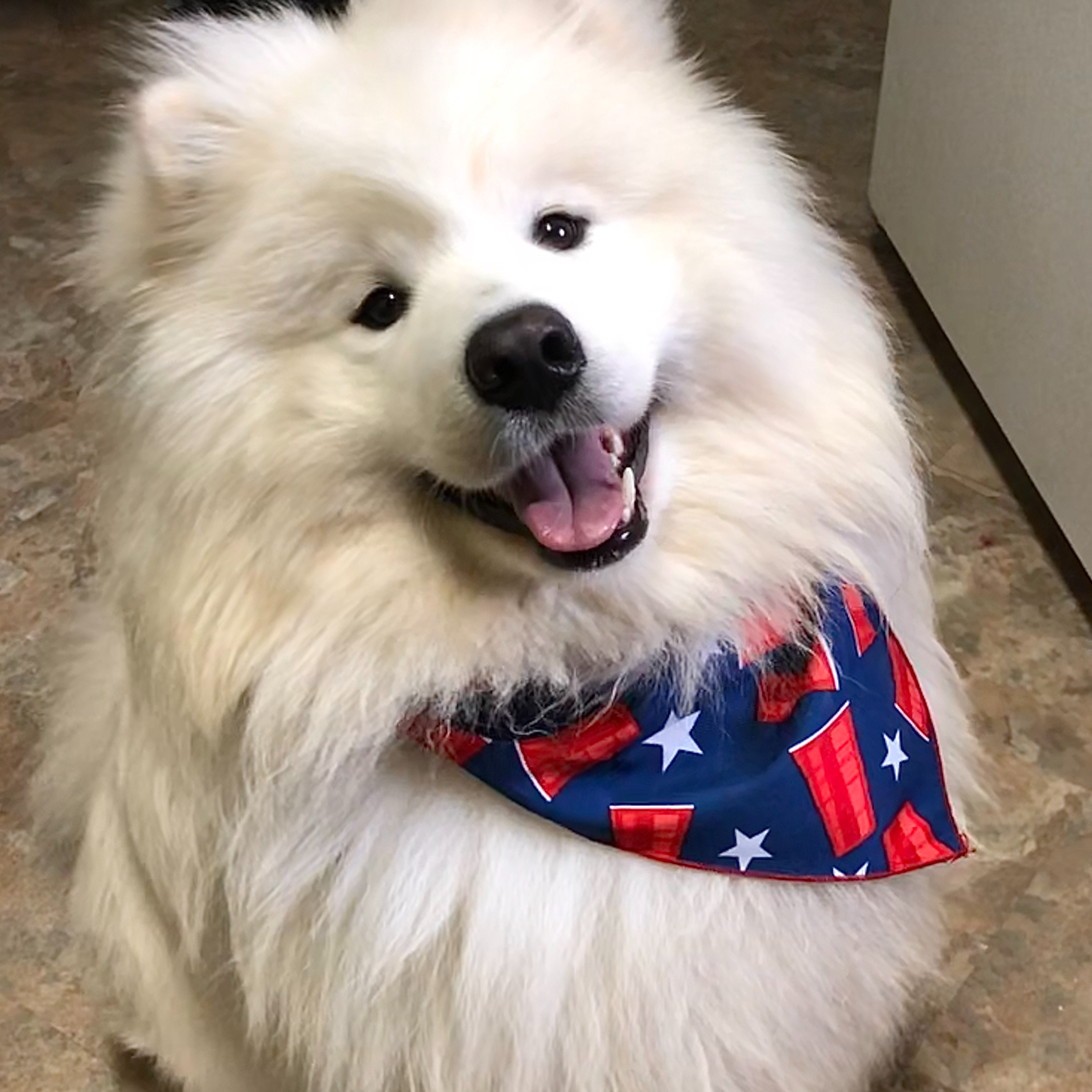 6439e02b-e536-434b-b014-19834337127d/facility/b81f79c7-99d0-4a05-8e67-2e1383427942