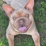 6747b49d-7f94-411c-9429-a4d07279bd31/facility/0dd43247-8bcf-4460-b35c-9b22aa2f1fc9