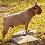 6747b49d-7f94-411c-9429-a4d07279bd31/facility/af527bbd-6c4c-486c-a740-e23ba4e255a0