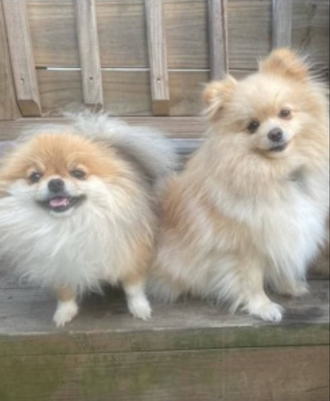 6d6e8318-76b1-4236-b4e4-153238e952cc/facility/2418bf1b-6e80-4773-b32d-06bc30f19f63