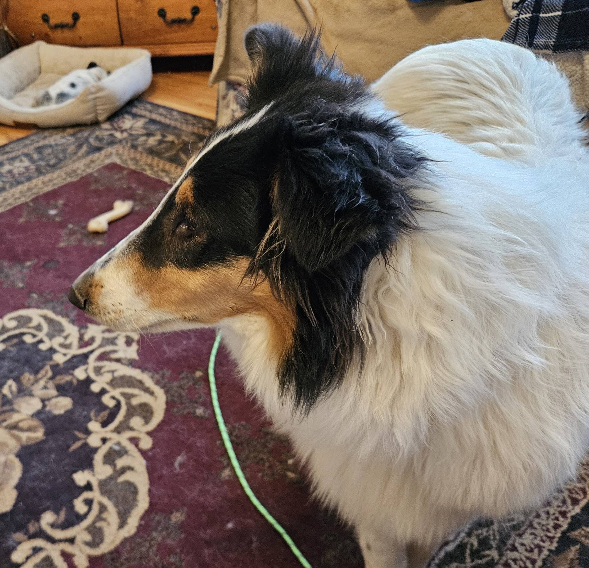 6eb3fb19-87f8-421a-9b70-048db7a30bdb/listing/41d4e3cd-dae7-42ec-8116-c6d3641a15fc/42acc027-8261-48c6-8b08-949b64ac356b