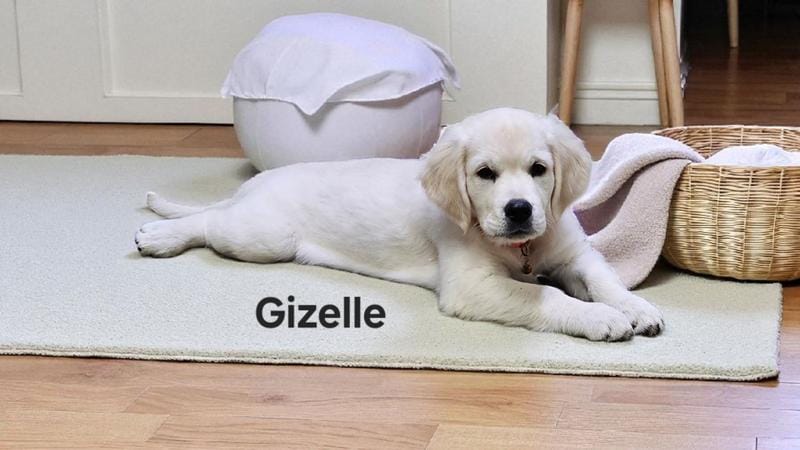 Gizelle