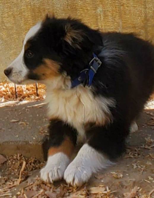 7008890f-bc47-42ab-930d-87ad6563089e/listing/1dd65e8f-5dbd-476b-bb07-6c8a6a1b6b26/e43fe963-d111-41dd-9144-8eda4fca8af2