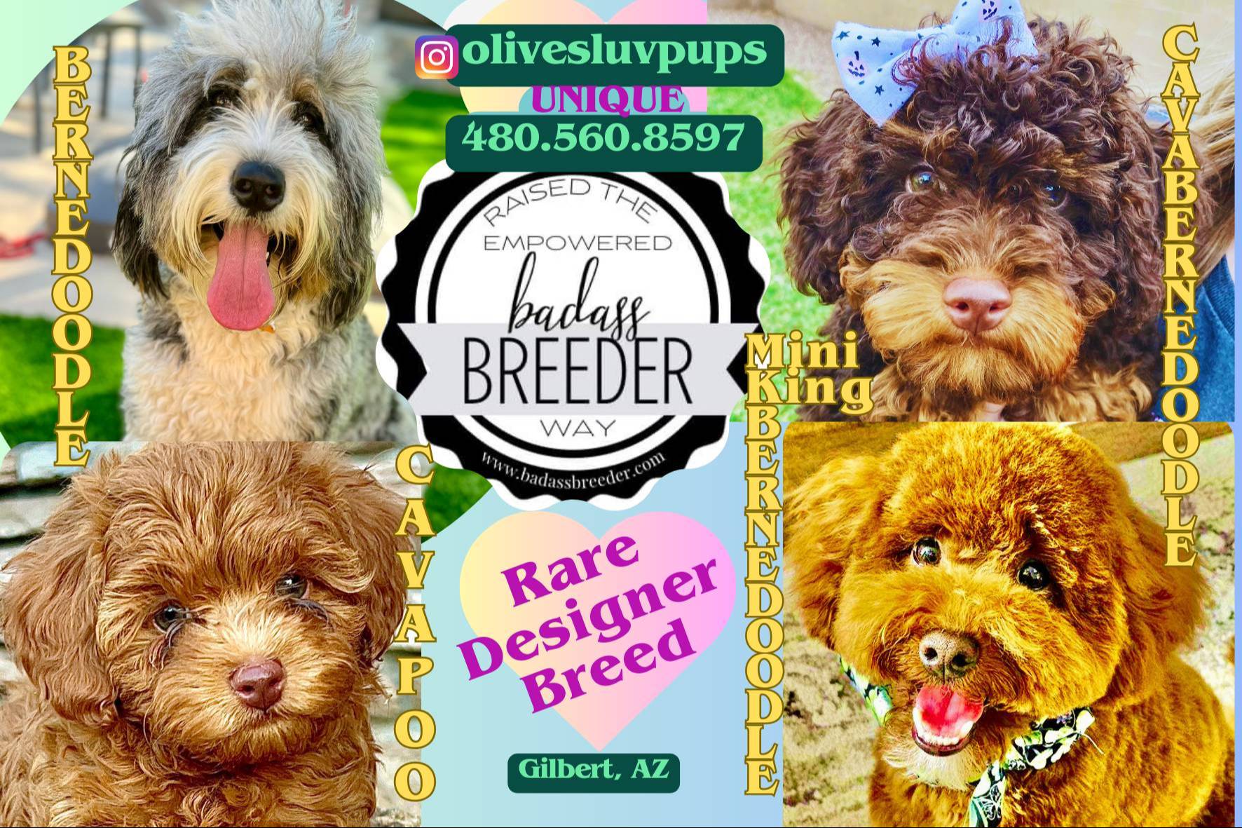 72d36046-f423-45a9-b5c3-ec3ad461e9c4/facility/f2d13779-a7bb-41c9-b760-54f05f6a3b65